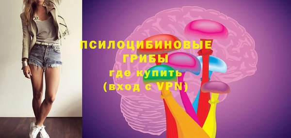 винт Богданович