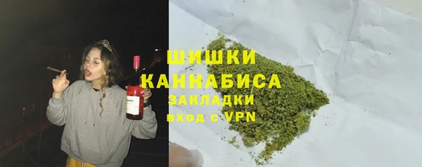 эйфоретик Бородино