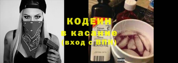 эйфоретик Бородино