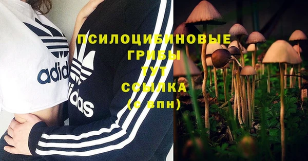 гидра Бронницы