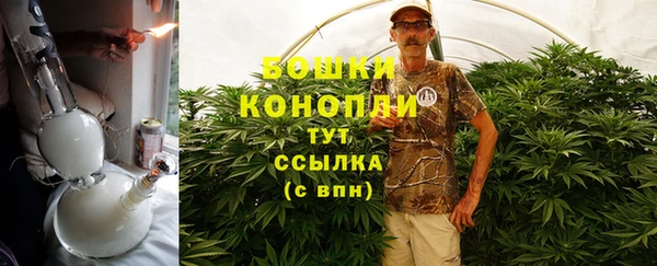 эйфоретик Бородино
