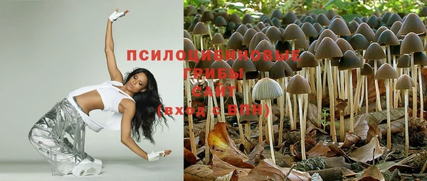 винт Богданович