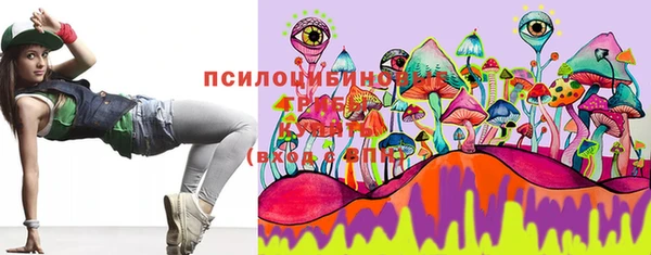 гашик Бугульма