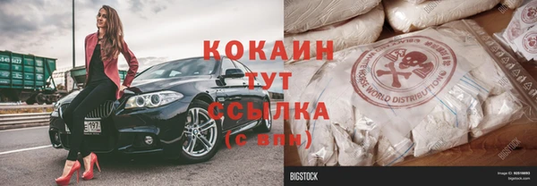 винт Богданович