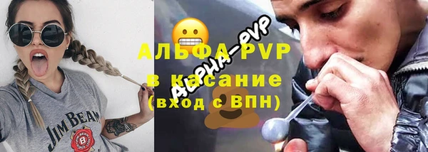 винт Богданович