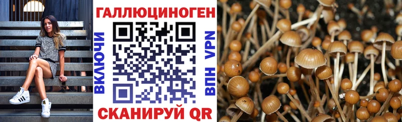 Галлюциногенные грибы мицелий  сколько стоит  Бутурлиновка 