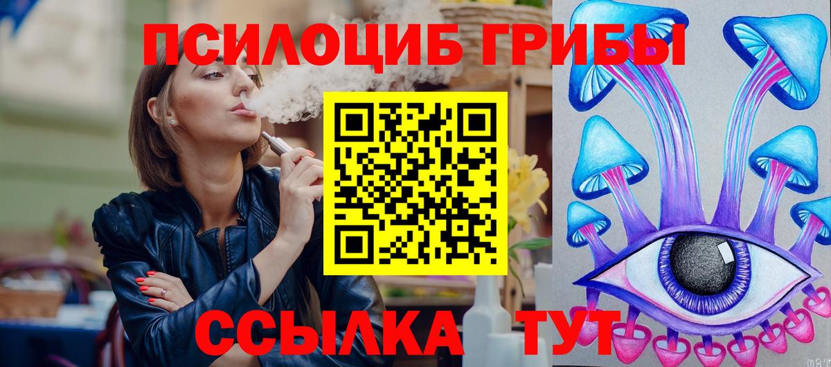 Псилоцибиновые грибы Cubensis Бутурлиновка