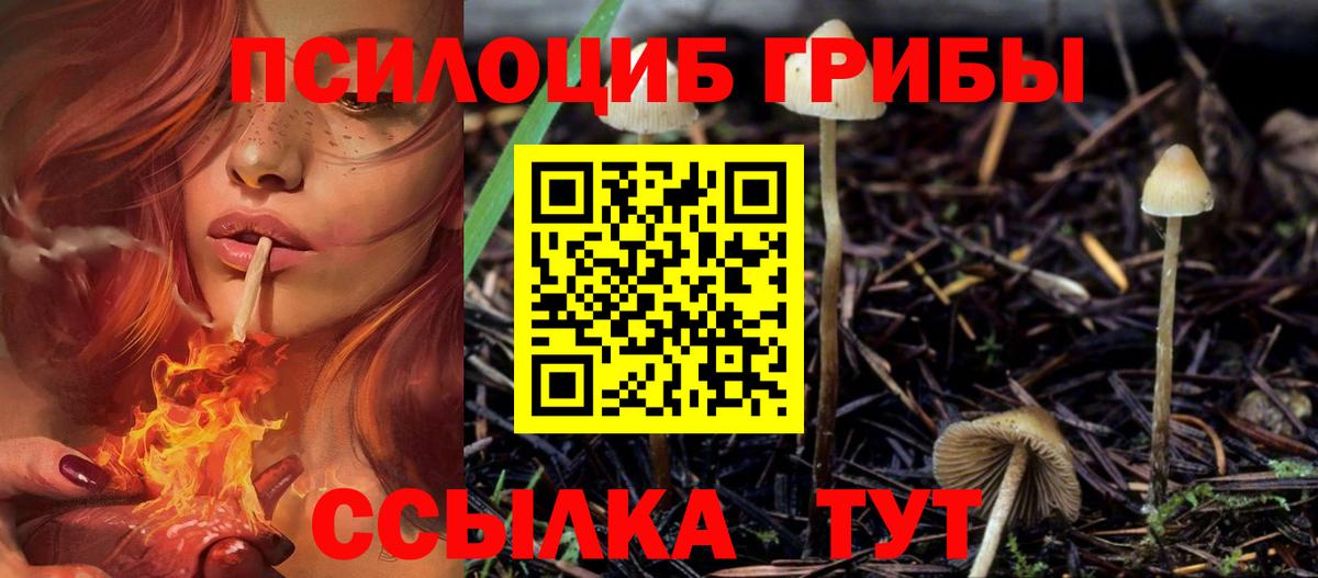 Псилоцибиновые грибы Magic Shrooms  Вход с VPN  Псилоцибиновые грибы мухоморы  Бутурлиновка 