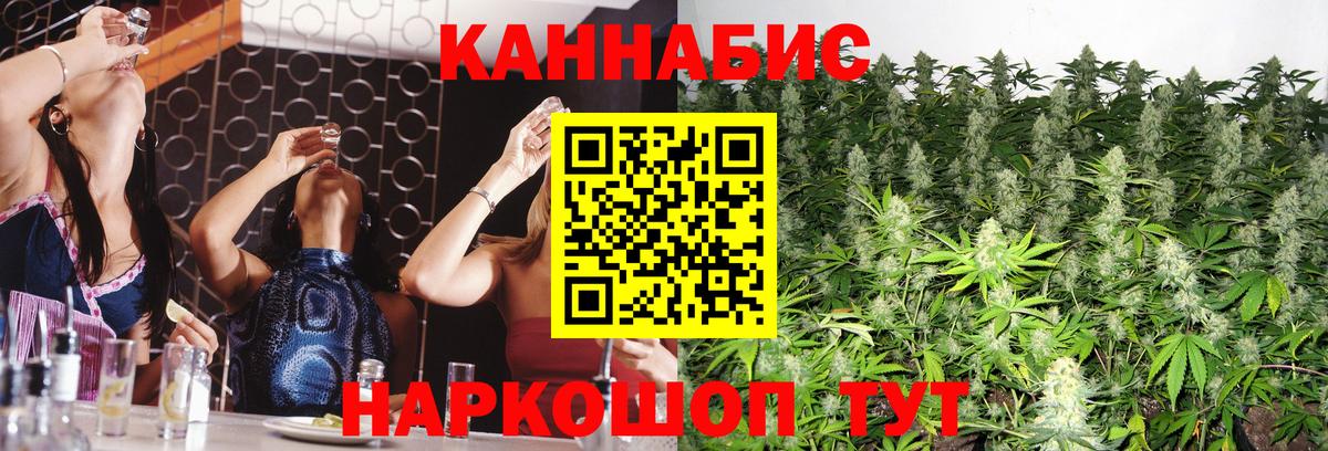 Бошки Шишки гибрид Бутурлиновка